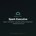 Digital Twin Pro Spark Executive